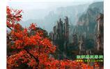 春節(jié)期間：張家界、天子山、金鞭溪自駕車精華精品游