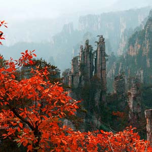 休閑自駕E線：張家界、袁家界、天子山、寶峰湖、鳳凰古城、沱江泛舟四晚五日游