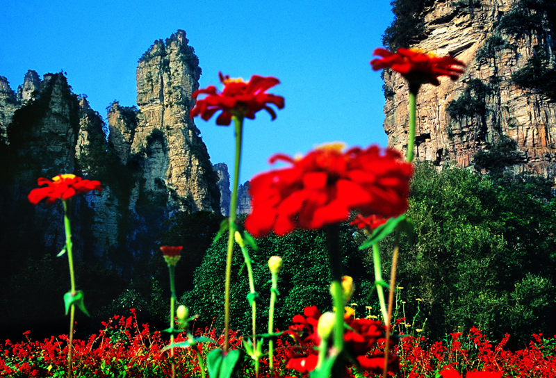 LF線：張家界國(guó)家森林公園、猛洞河漂流、鳳凰古城純玩自助五日游